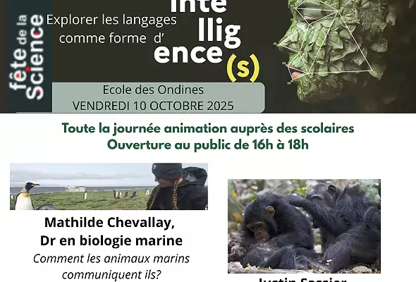 Illustration de Explorons les langages comme forme d'intelligence