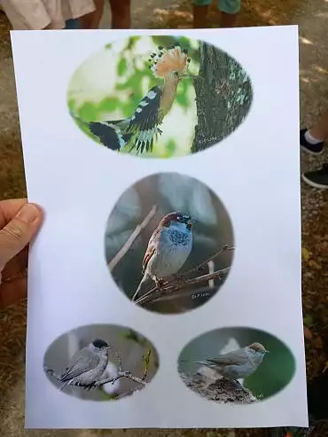 Illustration de 