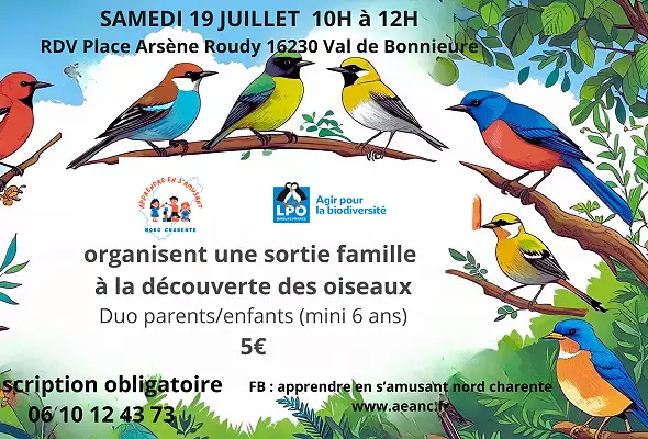 Illustration de Prochaine animation : à la découverte des oiseaux