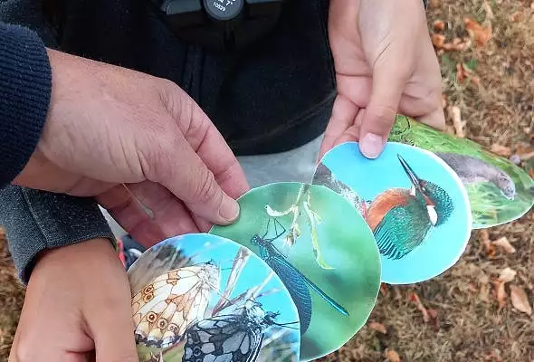 Illustration de Sortie en famille à la découverte des oiseaux avec la LPO