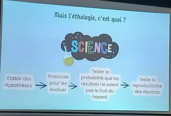 Illustration de Que se passe t'il dans la tête de nos chiens ?